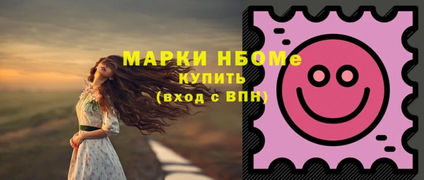 индика Навашино