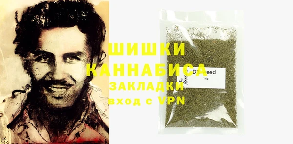 индика Навашино